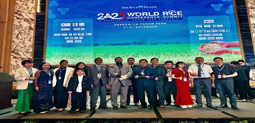 Nhà phân phối Nam Dương Minh An