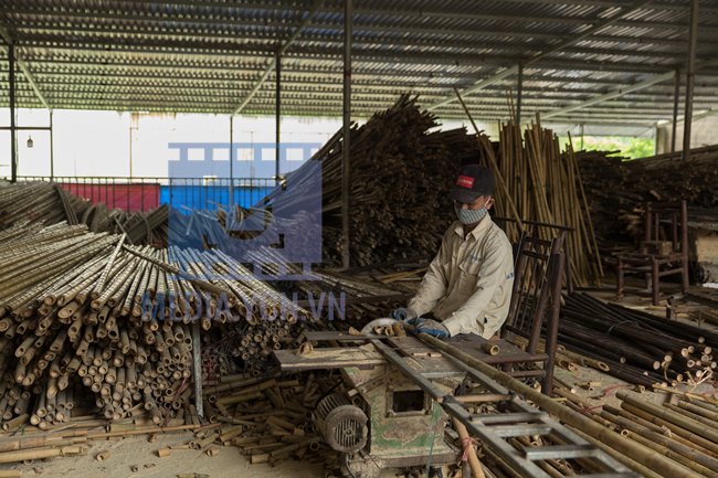 Chụp ảnh sản phẩm và quá trình sản xuất hàng rào tre ở ngoại thành Hà Nội