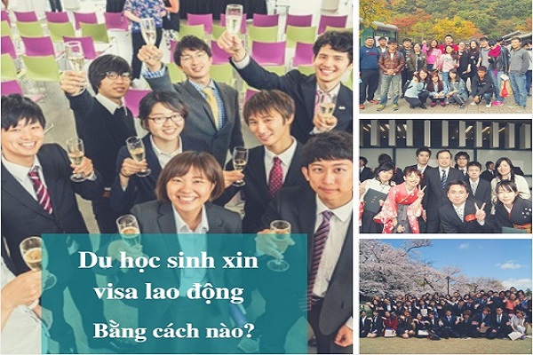 Siêu hot: Du học sinh Nhật Bản sẽ được cấp visa lao động trái ngành nếu …