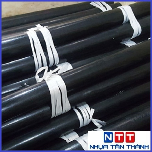 MUA CÂY NHỰA TRÒN Ở QUẬN 12.