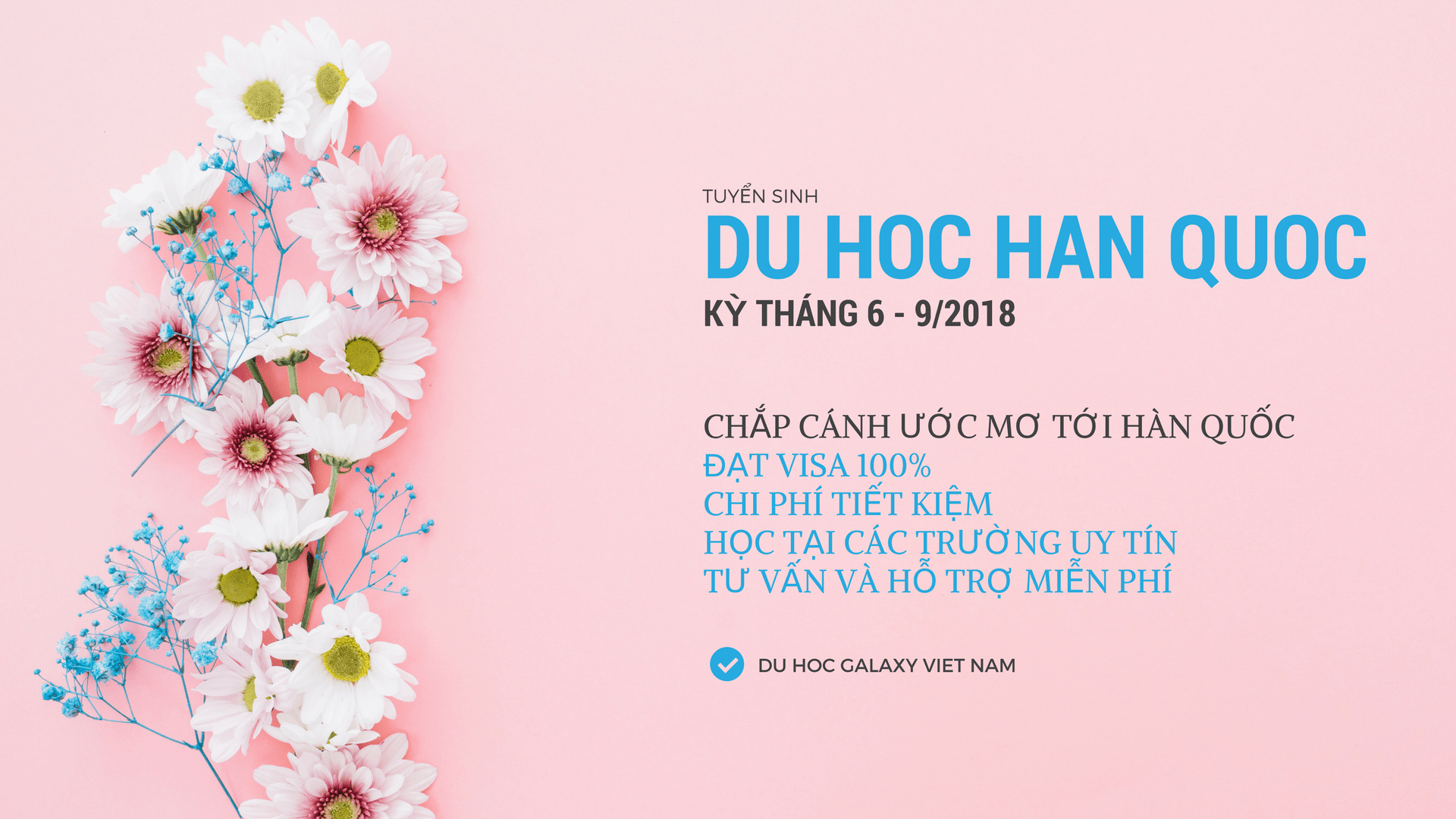 Thông tin Tuyển sinh: Du học Hàn Quốc với chi phí siêu tiết kiệm tại Galaxy Việt Nam