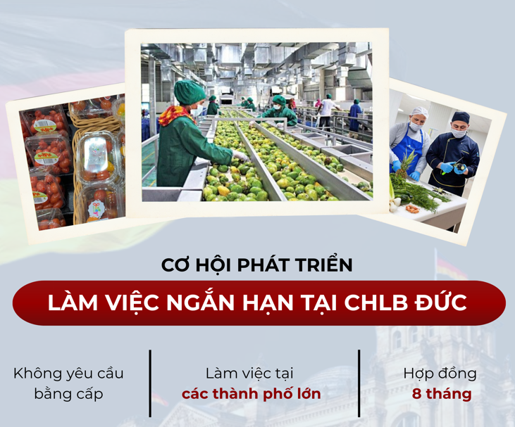 Lao động thời vụ 8 tháng tại Đức: Cơ hội, điều kiện và thu nhập cho người Việt