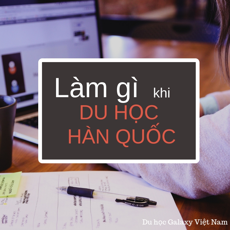 Cơ hội làm việc trước và sau tốt nghiệp tại Hàn Quốc