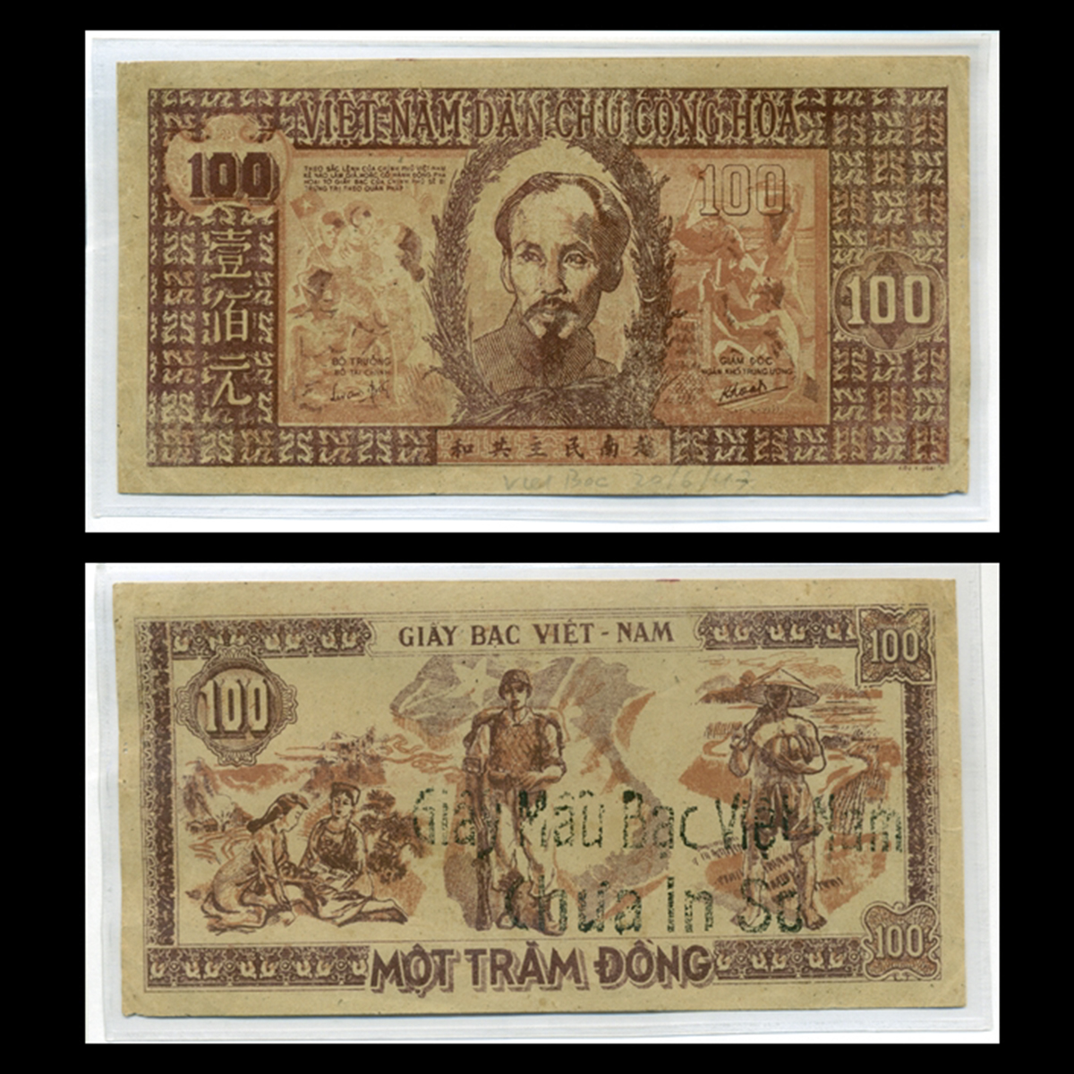 100 Đồng 1948 Một Trăm Đỏ (Bác Hồ lớn) Việt Nam Dân Chủ Cộng Hòa - Bản mẫu