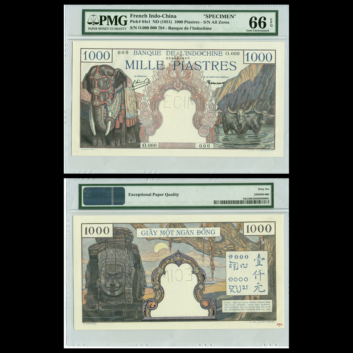 1000 piastres, Voi và Trâu nước - Mặt Phật Đá 1951 Đông Dương- Bản mẫu