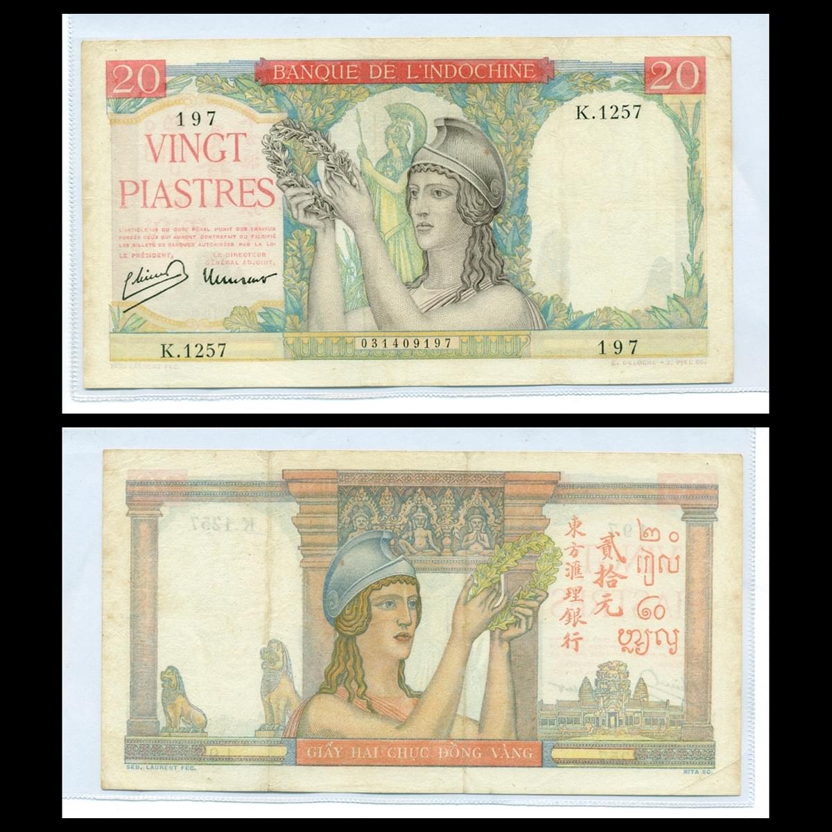 20 piastres, vòng Ô liu (Băng đỏ) 1949 Đông Dương