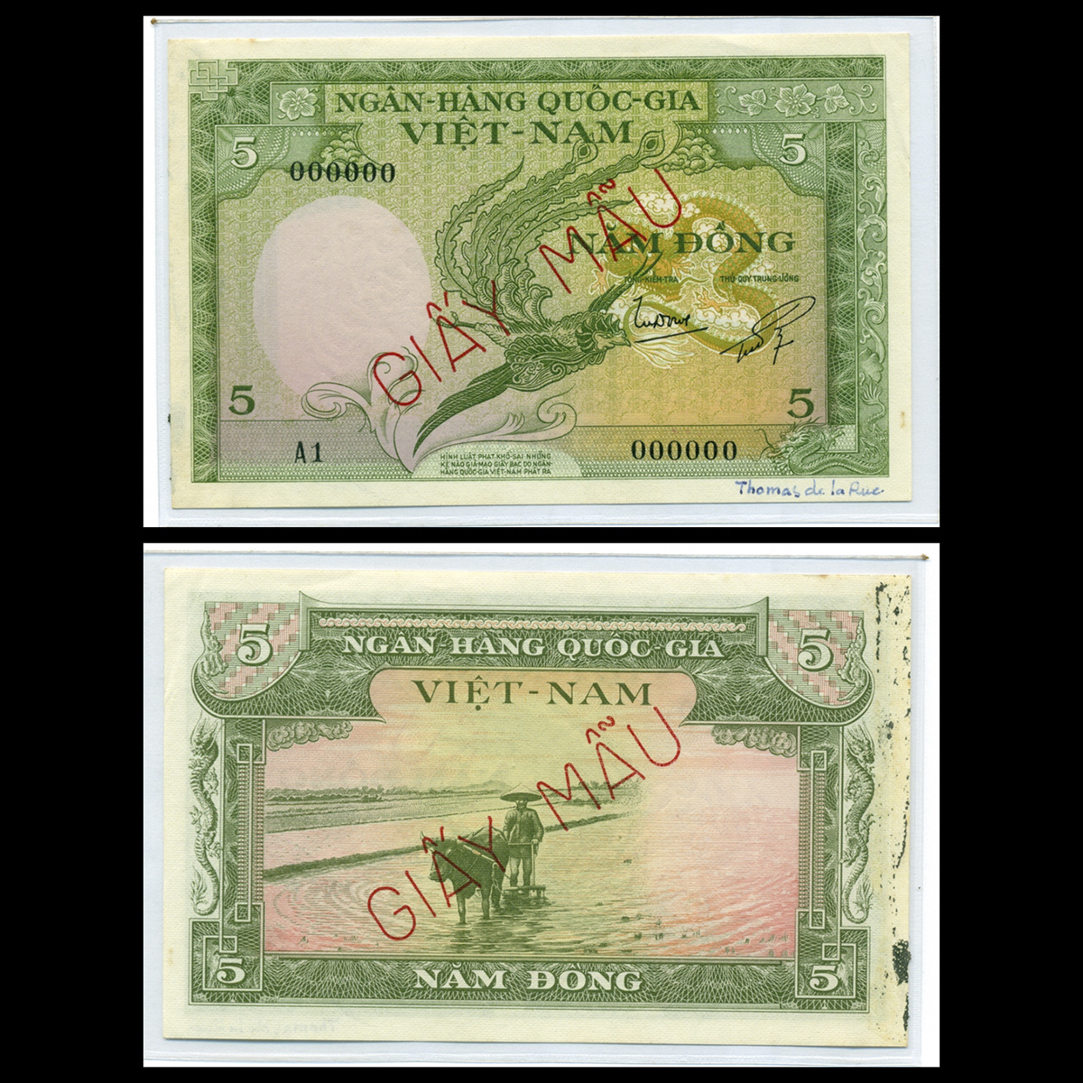 5 đồng, Con phụng - Con trâu cày ruộng 1956 VNCH - Bản mẫu