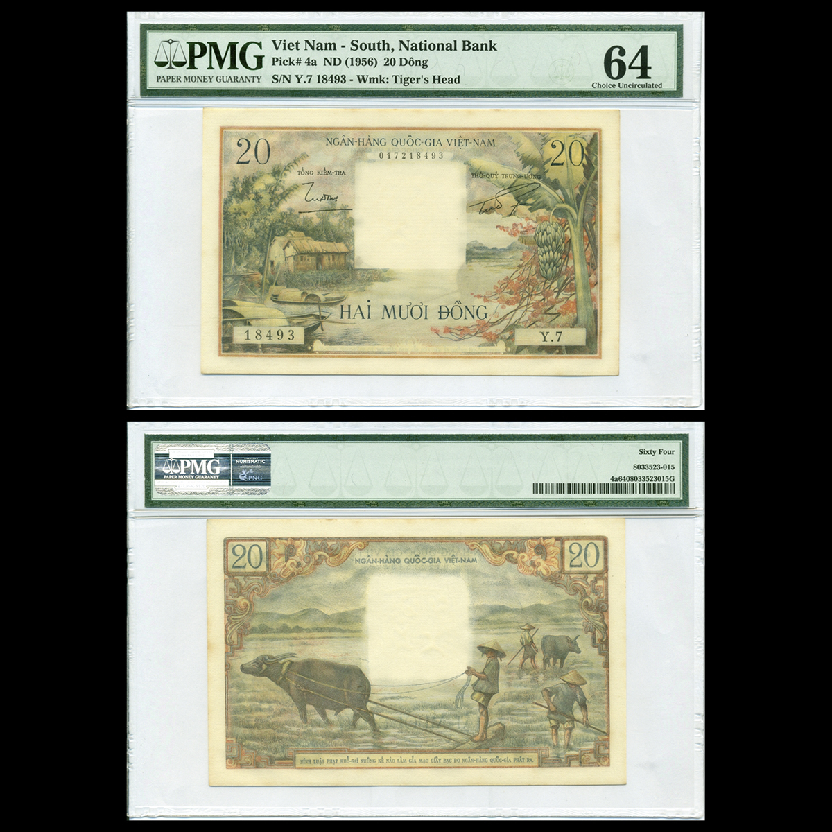 20 đồng, Cây chuối - Quang cảnh cày ruộng 1956 VNCH