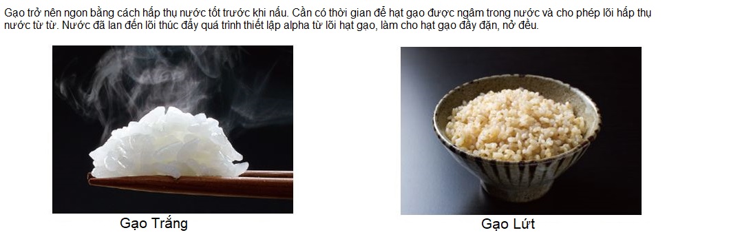 nồi cơm điện cao tần nhật bản