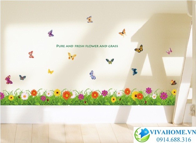 Decal dán chân tường Hoa đồng tiền khoe sắc