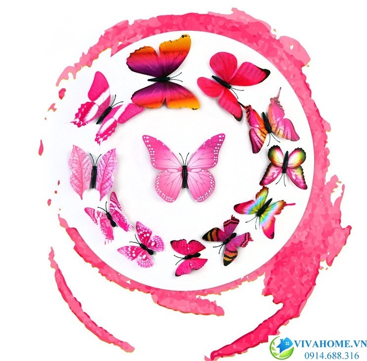 Bướm 3D hồng cánh đơn