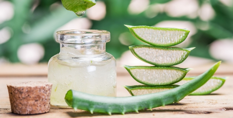 Trị gàu bằng nha đam