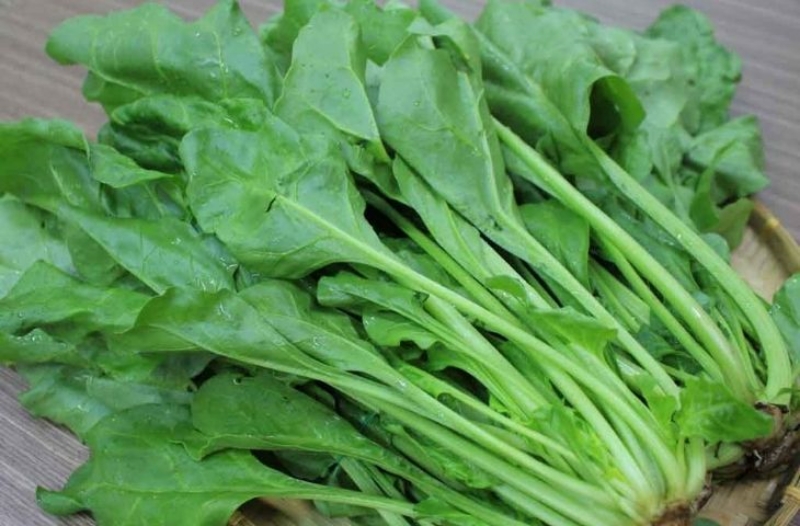 Cải bó xôi tốt cho tóc