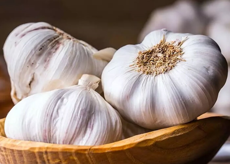 Công dụng của tỏi đối với tóc