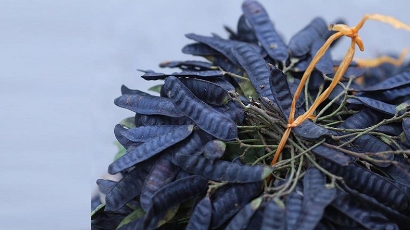 Trị da đầu tróc vảy bằng Bồ kết