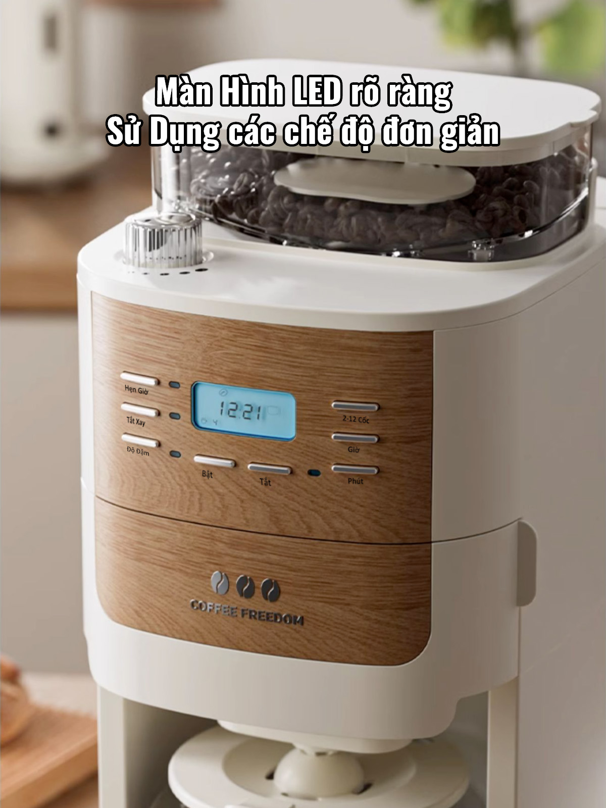 Máy Pha Cà Phê CF06 Tự Động Vừa Xay Vừa Pha từ 2-12 Cốc/Lần, Hẹn Giờ Pha Thông Minh, Cối Xay Cafe Lưỡi Nón Độ Mịn Cao