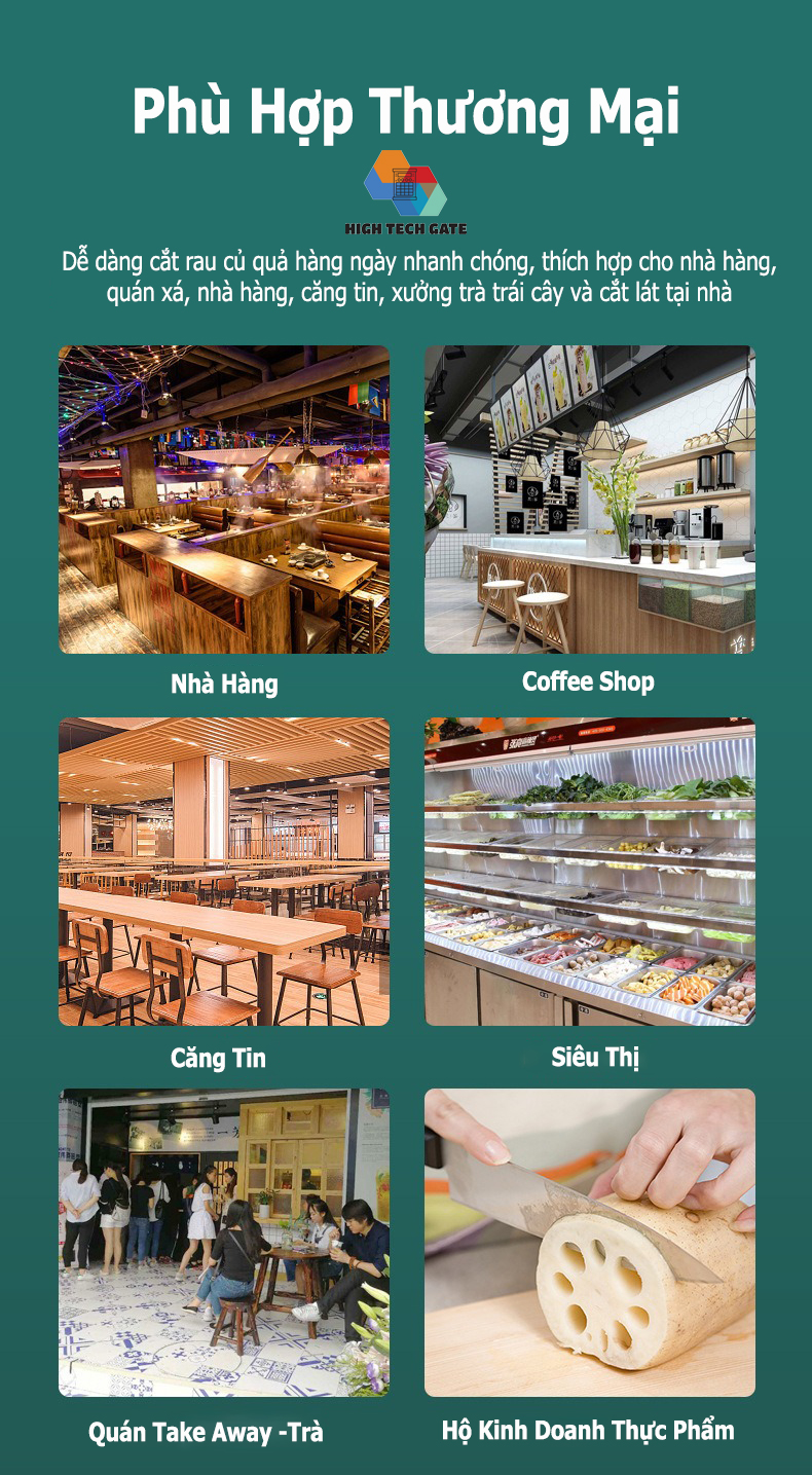 Máy cắt lát hoa quả thực phẩm công nghiệp SL-02