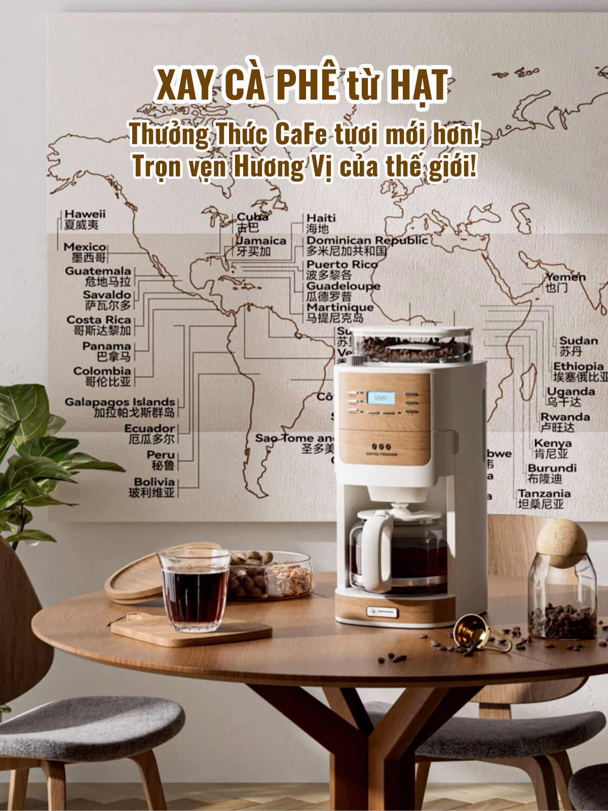 Máy Pha Cà Phê CF06 Tự Động Vừa Xay Vừa Pha từ 2-12 Cốc/Lần, Hẹn Giờ Pha Thông Minh, Cối Xay Cafe Lưỡi Nón Độ Mịn Cao