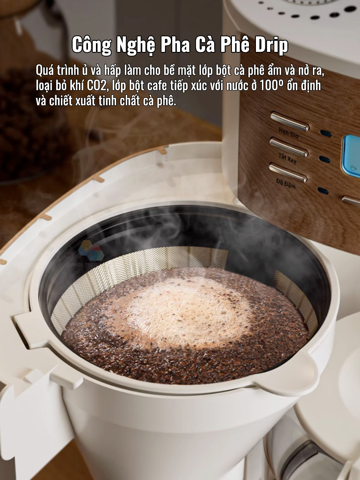 Máy Pha Cà Phê CF06 Tự Động Vừa Xay Vừa Pha từ 2-12 Cốc/Lần, Hẹn Giờ Pha Thông Minh, Cối Xay Cafe Lưỡi Nón Độ Mịn Cao