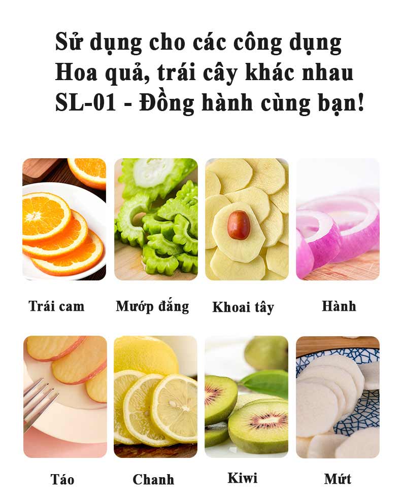 Máy cắt hoa quả trái cây inox Septree SL-01 chính hãng