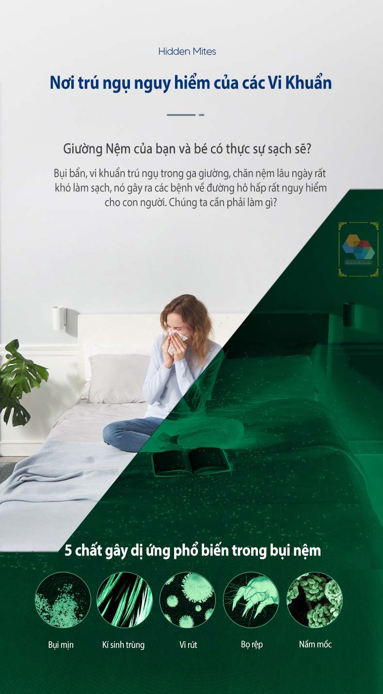 Máy hút bụi giường nệm không dây Morphy Richards MR3100