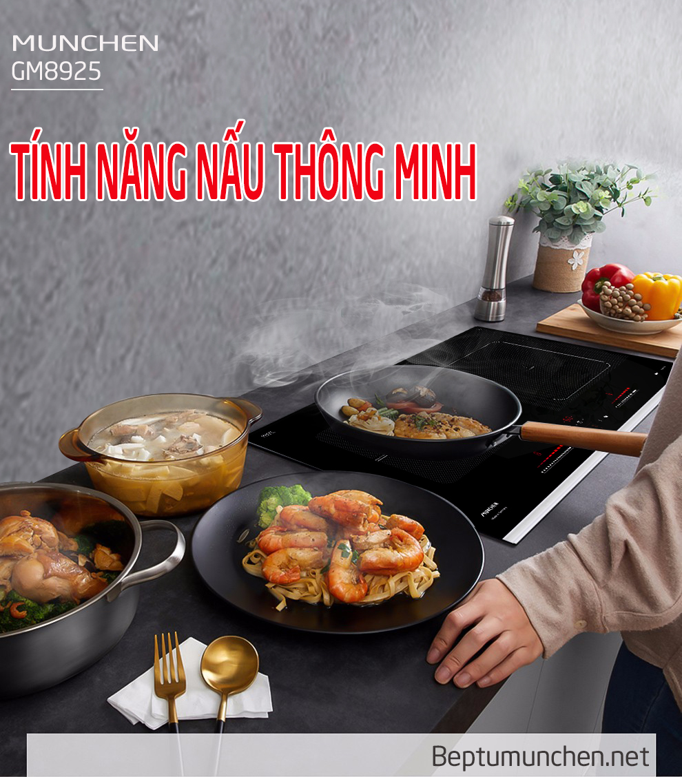 bếp từ munchen gm8925