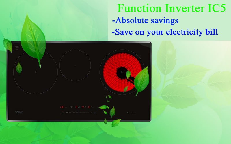 Function Inverter IC5 Absolute savings