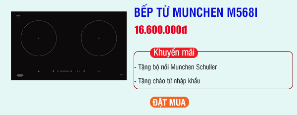 So sánh Munchen GM 2285 và M568I : Mẫu bếp nào tốt hơn?