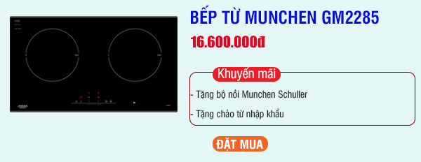 So sánh Munchen GM 2285 và M568I : Mẫu bếp nào tốt hơn?