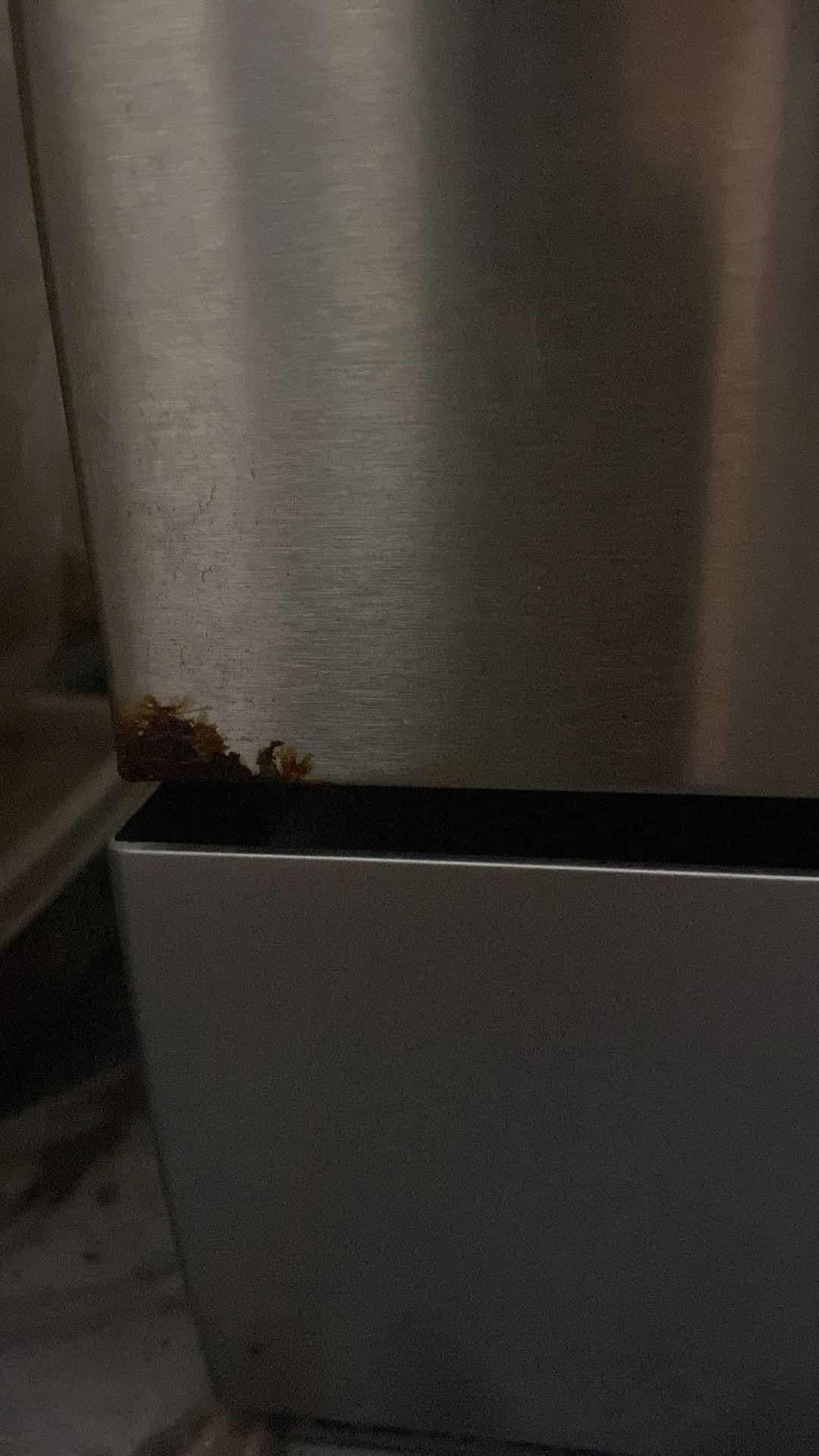 Máy rửa bát Inox có bị han gỉ không?