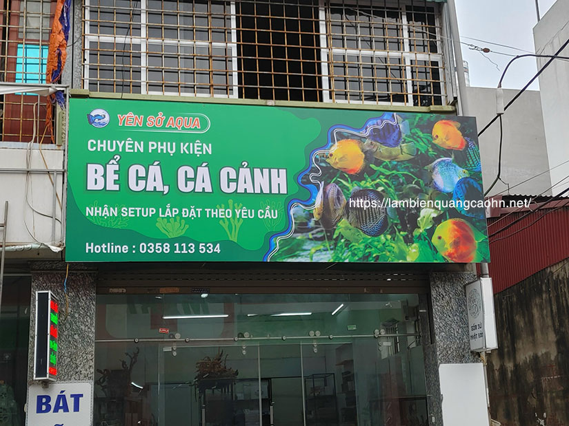 Biển quảng cáo đẹp, biển cửa hàng cá cảnh, biển quảng cáo cá cảnh, biển quảng cáo thủy sinh