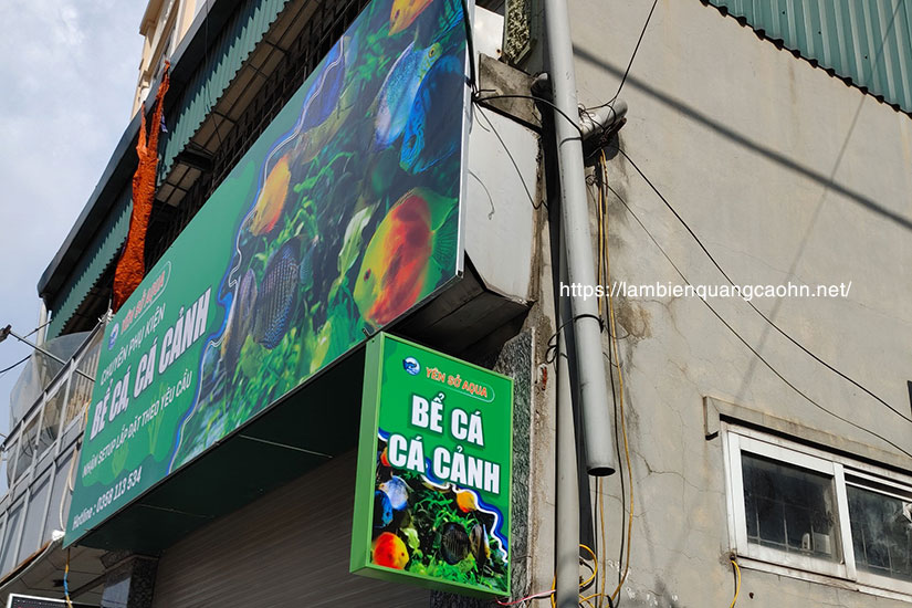 Biển quảng cáo đẹp, biển cửa hàng cá cảnh, biển quảng cáo cá cảnh, biển quảng cáo thủy sinh