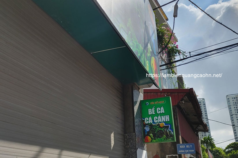 Biển quảng cáo đẹp, biển cửa hàng cá cảnh, biển quảng cáo cá cảnh, biển quảng cáo thủy sinh
