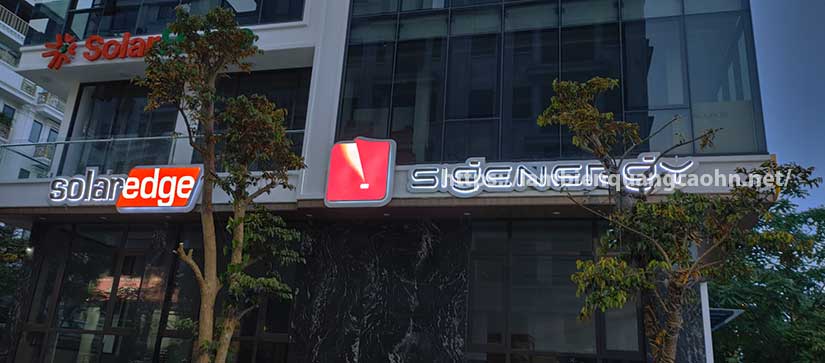 chữ mica sáng chân