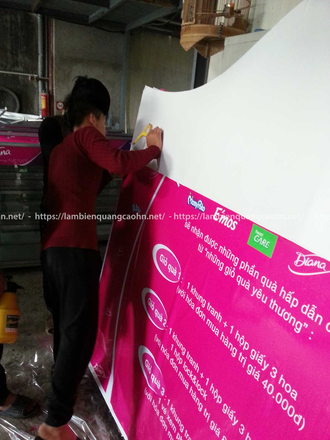 in decal pp bồi formex