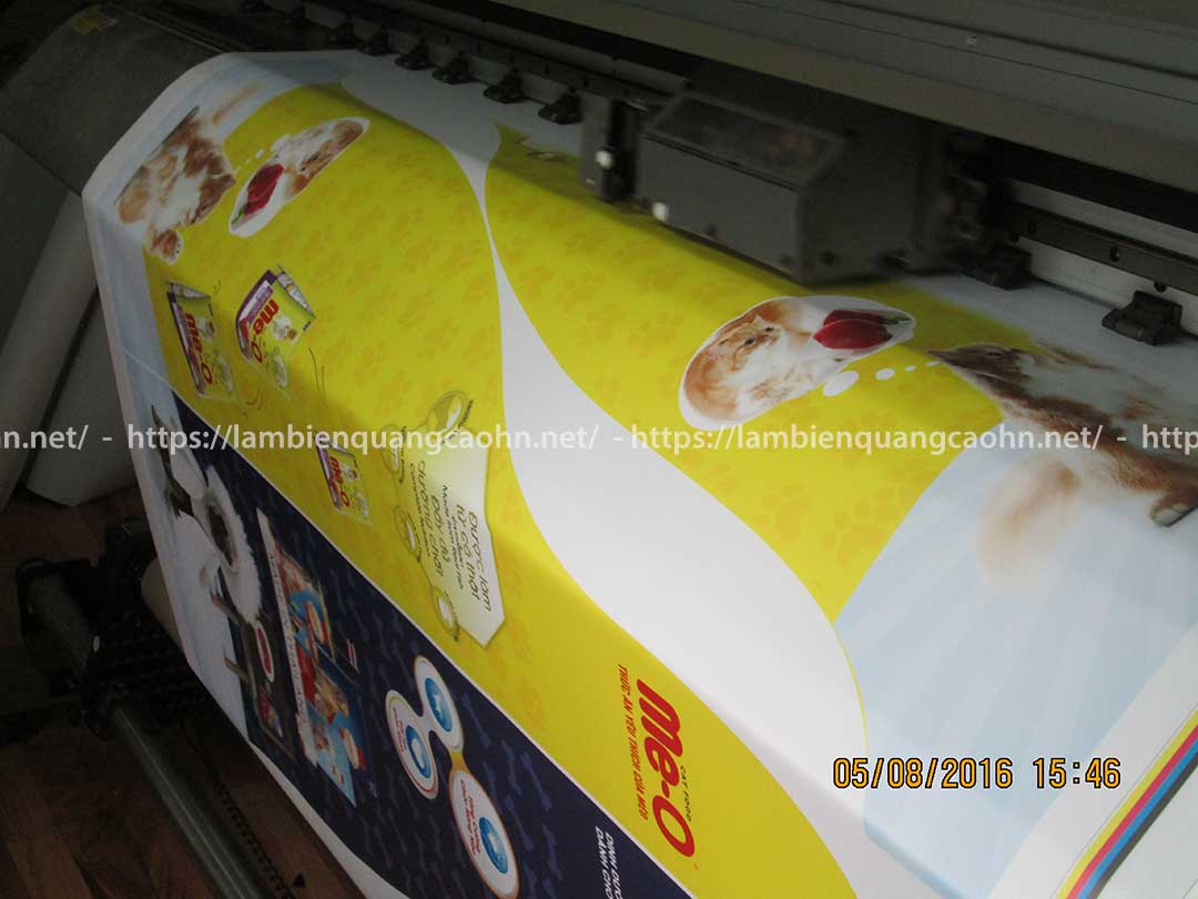 in decal pp bồi formex