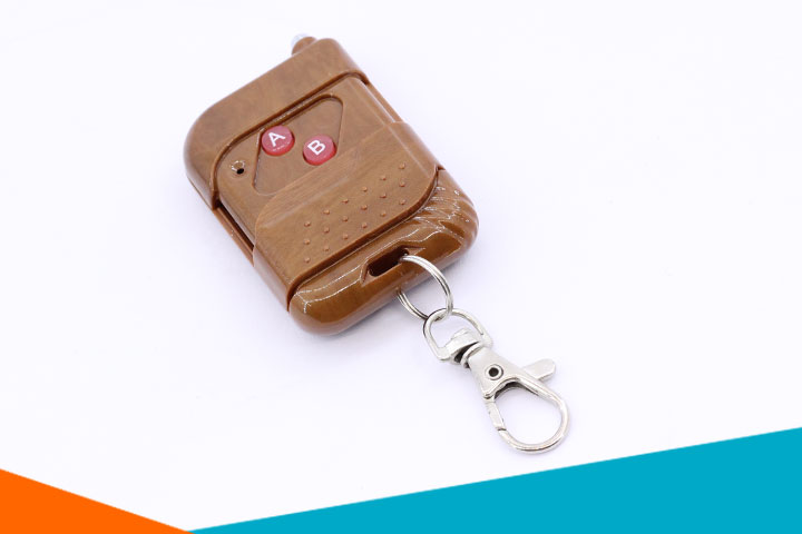 Tay Phát RF315 2 Kênh