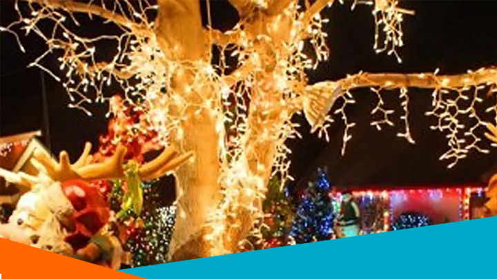 Đèn led dây được dùng trang trí