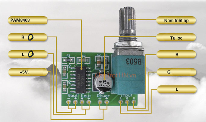 Module Khuếch Đại Audio PAM8403 2x3W 5V