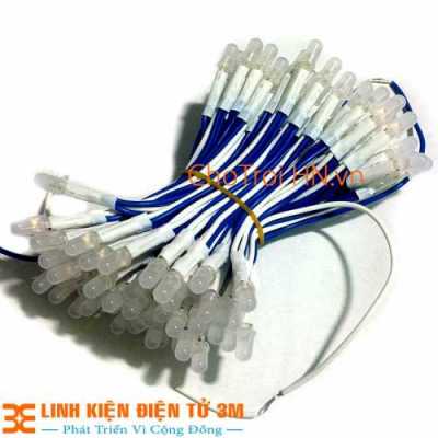 led liền dây