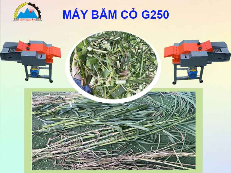may-bam-co-g250-5