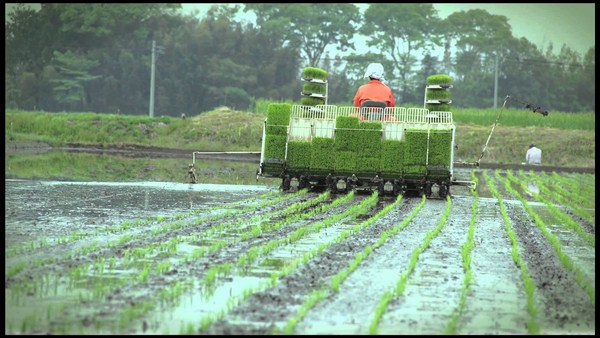 máy nông nghiệp trồng trọt