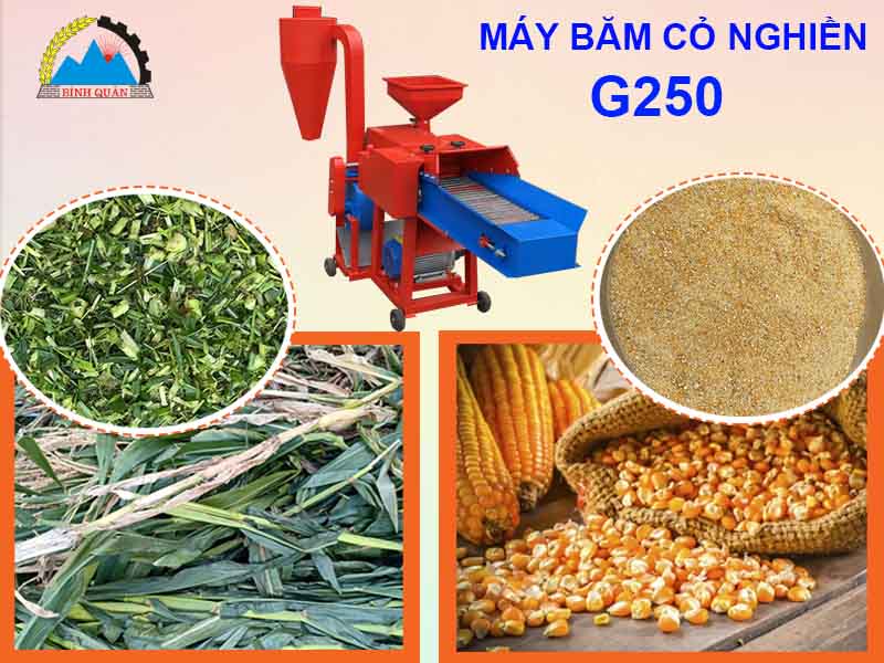 may-bam-co-nghien-G250-05