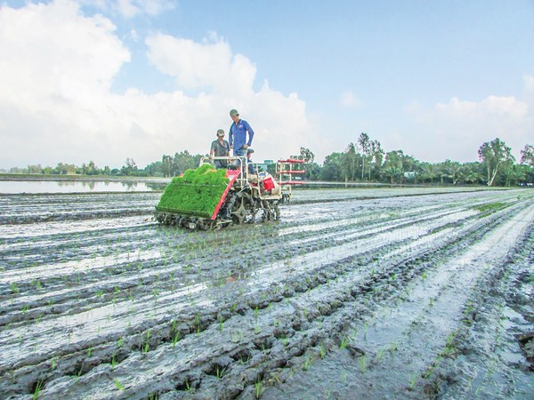 máy nông nghiệp ở Việt Nam