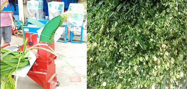 Máy nghiền công nghiệp