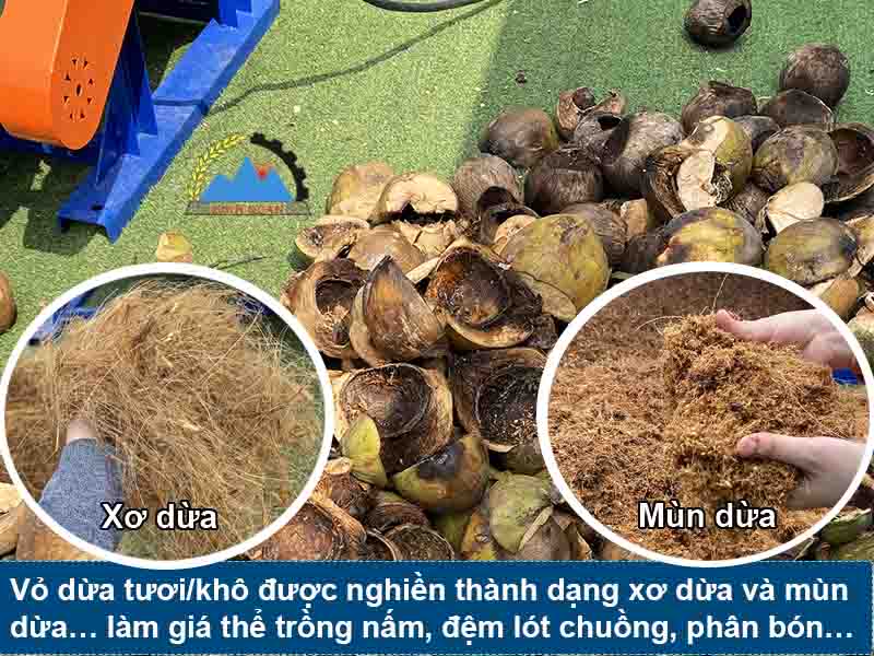 may-nghien-xo-dua-b1200-2