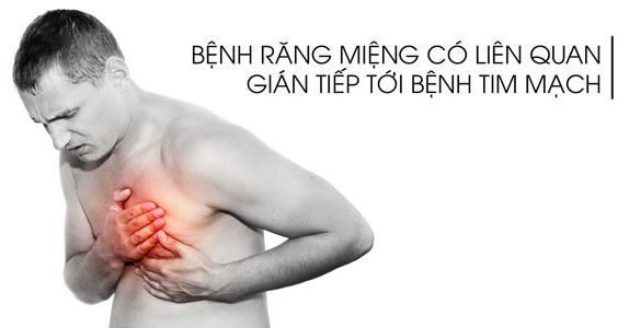 anh-huong-cua-benh-rang-loi-toi-tim-va-co-the-cua-chung-ta