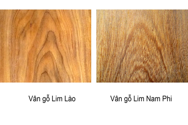 phan-biet-cac-loai-go-tu-nhien-duoc-su-dung-trong-thiet-ke-noi-that