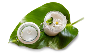 Giảm giá trong ngày