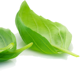 Giảm giá trong ngày